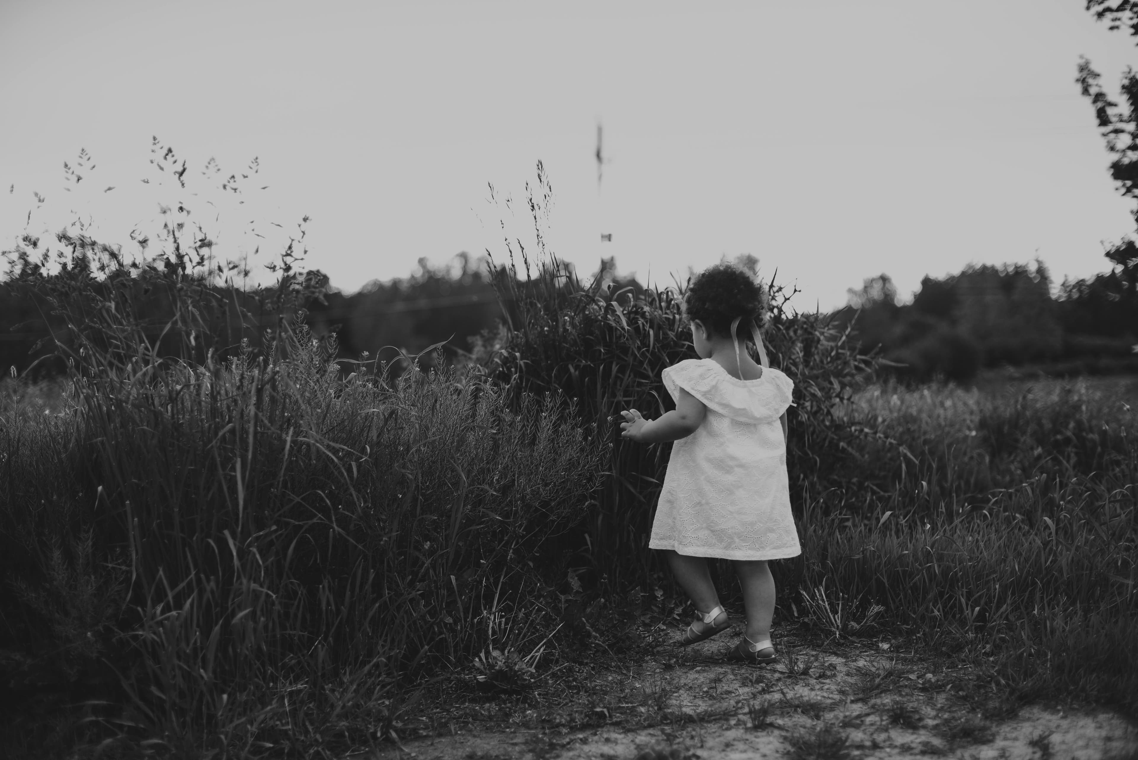 Oprah Winfrey : ce que la femme la plus influente du monde nous apprend sur la reconstruction